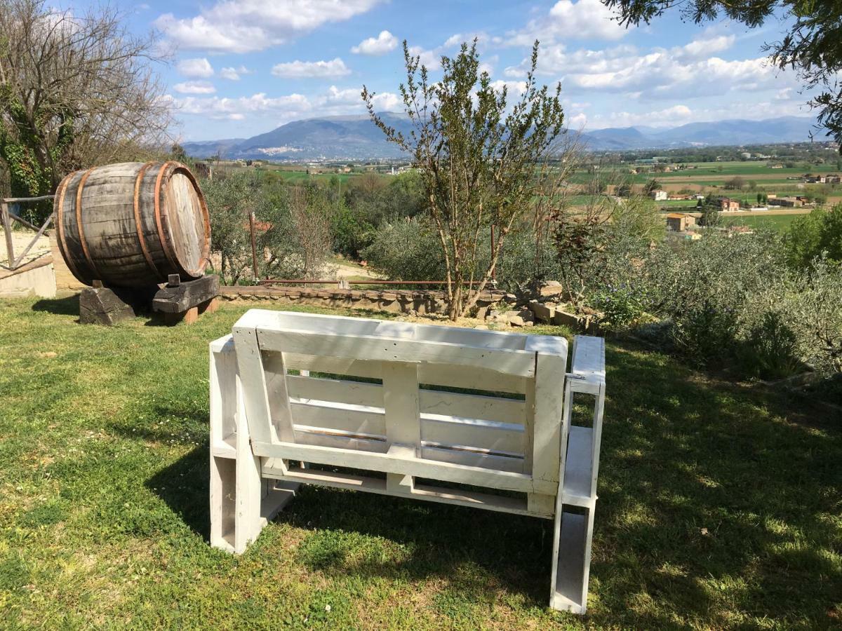 Agriturismo Wine Casale Villa Chiara Torgiano Exteriör bild